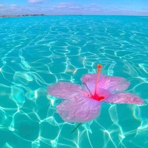 Meet your Posher, Annika